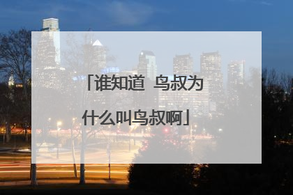 谁知道 鸟叔为什么叫鸟叔啊