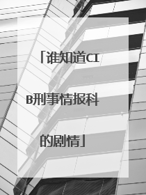 谁知道CIB刑事情报科的剧情