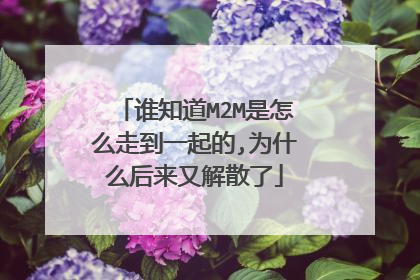 谁知道M2M是怎么走到一起的,为什么后来又解散了