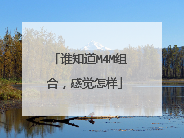 谁知道M4M组合，感觉怎样