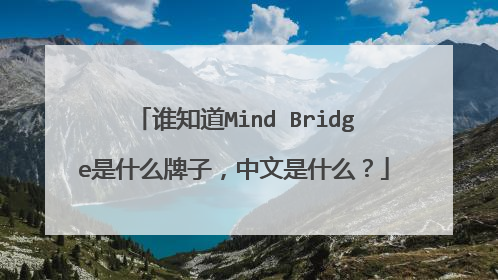 谁知道Mind Bridge是什么牌子，中文是什么？