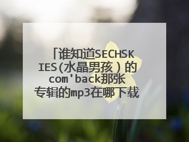 谁知道SECHSKIES(水晶男孩)的com'back那张专辑的mp3在哪下载 谢啦~~~