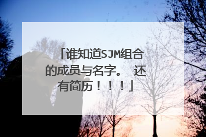 谁知道SJM组合的成员与名字。 还有简历!!!