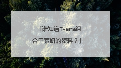 谁知道T-ara组合里素妍的资料？