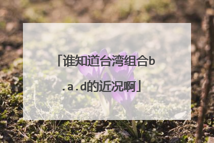 谁知道台湾组合b.a.d的近况啊