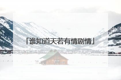 谁知道天若有情剧情