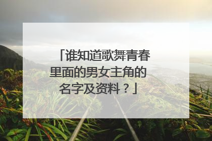 谁知道歌舞青春里面的男女主角的名字及资料？