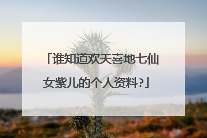 谁知道欢天喜地七仙女紫儿的个人资料?