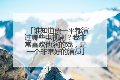 谁知道贾一平都演过哪些电视剧？我非常喜欢他演的戏，是一个非常好的演员