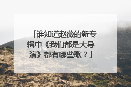 谁知道赵薇的新专辑中《我们都是大导演》都有哪些歌?