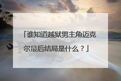 谁知道越狱男主角迈克尔最后结局是什么？