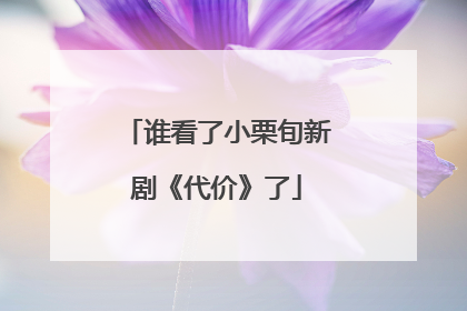 谁看了小栗旬新剧《代价》了