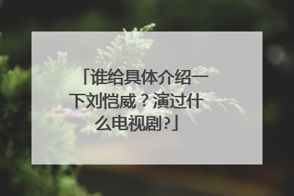 谁给具体介绍一下刘恺威？演过什么电视剧?