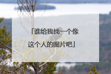 谁给我找一个像这个人的图片吧