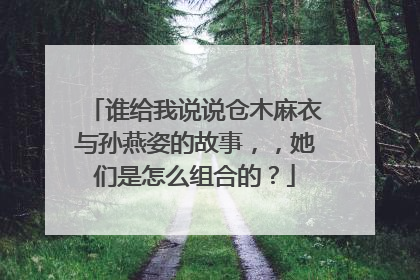 谁给我说说仓木麻衣与孙燕姿的故事,,她们是怎么组合的?