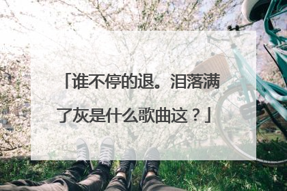 谁不停的退。泪落满了灰是什么歌曲这？