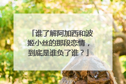 谁了解阿加西和波姬小丝的那段恋情,到底是谁负了谁?