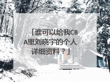 谁可以给我CBA里刘晓宇的个人详细资料?