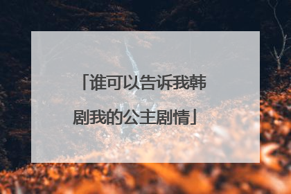 谁可以告诉我韩剧我的公主剧情