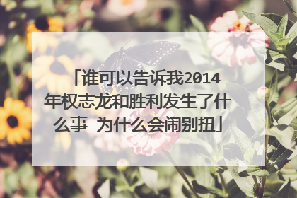 谁可以告诉我2014年权志龙和胜利发生了什么事 为什么会闹别扭