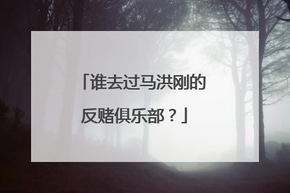谁去过马洪刚的反赌俱乐部？