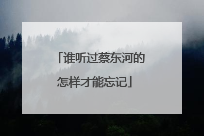 谁听过蔡东河的怎样才能忘记