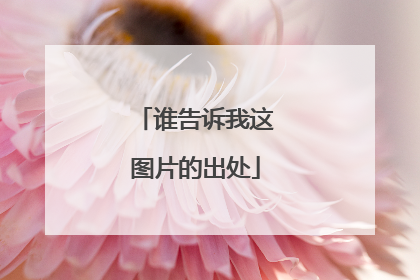 谁告诉我这图片的出处