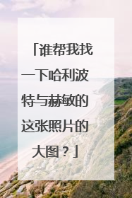 谁帮我找一下哈利波特与赫敏的这张照片的大图？