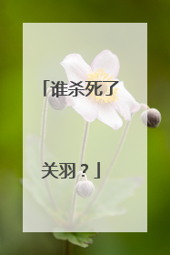 谁杀死了关羽？