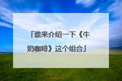 谁来介绍一下《牛奶咖啡》这个组合