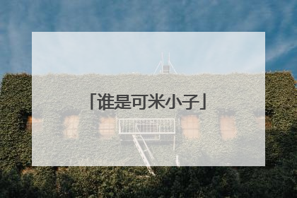 谁是可米小子