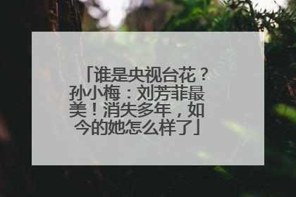 谁是央视台花？孙小梅：刘芳菲最美！消失多年，如今的她怎么样了