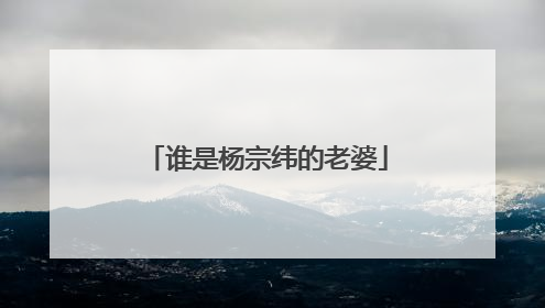 谁是杨宗纬的老婆