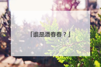 谁是潘春春?