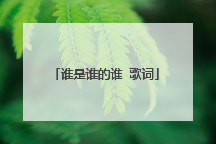 谁是谁的谁 歌词