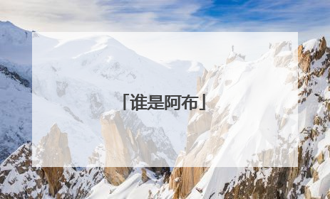 谁是阿布