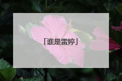 谁是雷婷