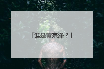 谁是黄宗泽？