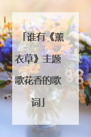 谁有《薰衣草》主题歌花香的歌词