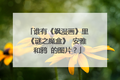 谁有《飒漫画》里《谜之魔盒》 安雅 和鸦 的图片?