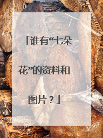 谁有“七朵花”的资料和图片?