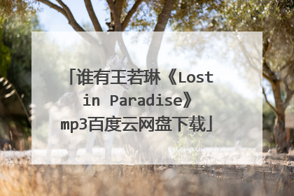 谁有王若琳《Lost in Paradise》mp3百度云网盘下载