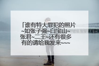 谁有特大罪犯的照片~如张子强~白宝山~张君~二王~还有很多有的请给我发来~~~~要大点的照片~
