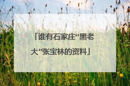 谁有石家庄“黑老大”张宝林的资料