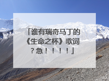谁有瑞奇马丁的《生命之杯》歌词？急！！！！