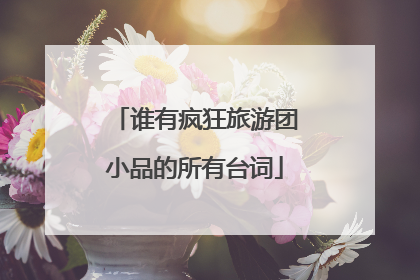 谁有疯狂旅游团小品的所有台词