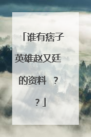 谁有痞子英雄赵又廷的资料 ？？