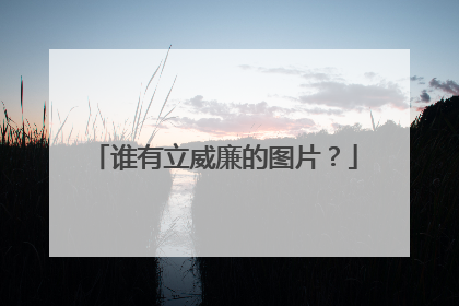 谁有立威廉的图片?