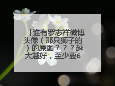 谁有罗志祥微博头像（那只狮子的）的原图？？？越大越好，至少要600K