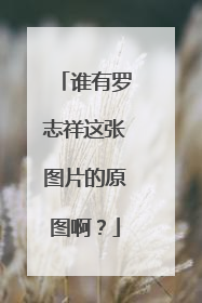 谁有罗志祥这张图片的原图啊？